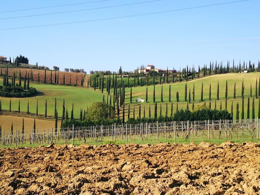 Castello Di Fulignano Ildebrando Superior Apartment San Gimignano Exterior foto